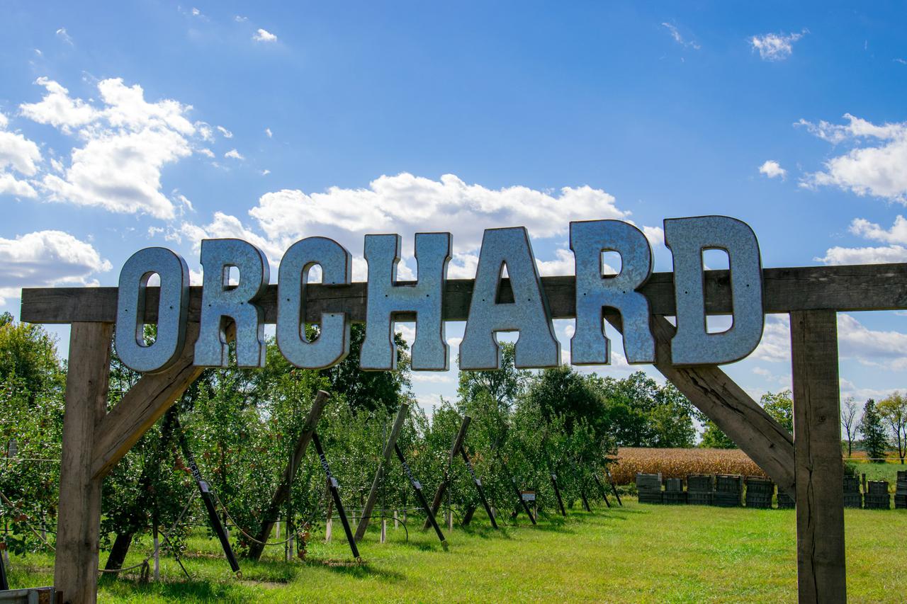 Apple orchard signProminently displayed is a big metal sign reading "Orchard," with a picturesque backdrop of an apple orchard and a corn field symbolizing late summer's bounty. The clear blue sky above adds to the serene ambiance. Embracing the farm core and orchard core aesthetics, this image paints a vivid scene of rural life and the impending harvest season, making it ideal for content related to agrarian landscapes, seasonal transitions, and the simple beauty of orchard life.