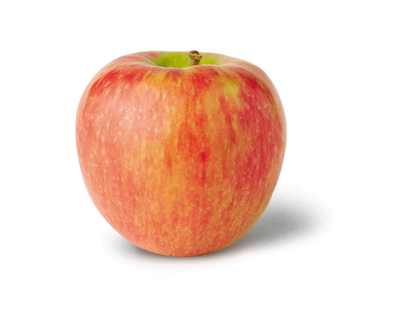 honeycrisp_nyas-apples3.png